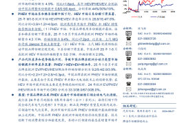 乘用车海外（出口）系列专题报告：如何看待中国品牌欧洲市场的份额提升？