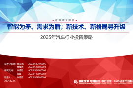 2025年汽车行业投资策略：智能为矛、需求为盾；新技术、新格局寻升级