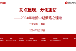 2024年锂电池行业中期策略：拐点显现，分化重估