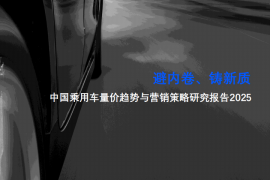中国乘用车量价趋势与营销策略研究报告2025