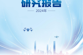 2024年低空智联网发展研究报告