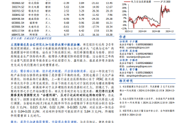 新能源行业专题报告：祛魅存真，透析电新