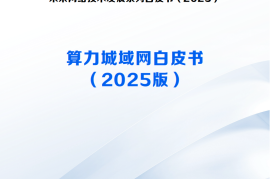 未来网络发展大会：算力城域网白皮书（2025版）