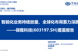 保隆科技研究报告：智能化业务持续放量，全球化布局蓄力深蹲