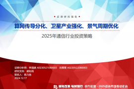 2025年通信行业投资策略：算网传导分化、卫星产业强化、景气周期优化