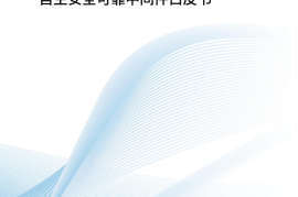 2025信创引领：自主安全可靠中间件白皮书