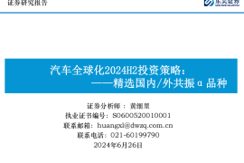 汽车行业2024H2投资策略：精选国内外共振α品种