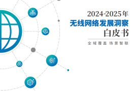 2024-2025年无线网络行业发展洞察白皮书：全域覆盖场景智联