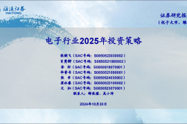 电子行业2025年投资策略