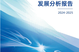 全国工商联汽车摩托车配件用品业商会-汽车零部件行业：中国汽车零部件产业分析报告（2024_2025）