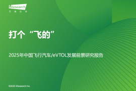 2025年中国飞行汽车行业eVTOL发展前景研究报告：打个“飞的”