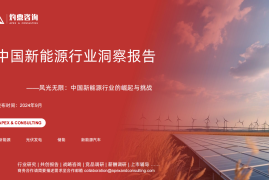 中国新能源行业洞察报告：风光无限，中国新能源行业的崛起与挑战