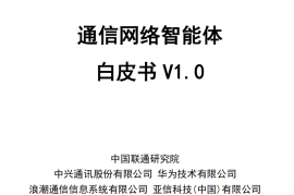 通信网络智能体白皮书
