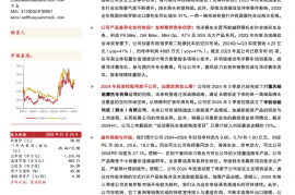 华洋赛车研究报告：聚焦小排量越野车差异化赛道，对外并购扩品类、填空白