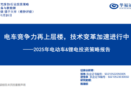 2025年电动车&锂电投资策略报告：电车竞争力再上层楼，技术变革加速进行中