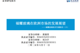 福耀玻璃研究报告：福耀玻璃在欧洲市场的发展展望