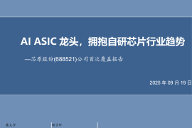 芯原股份研究报告：AIASIC龙头，拥抱自研芯片行业趋势