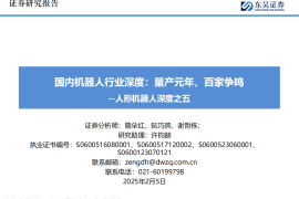 人形机器人行业深度报告：国内机器人行业深度，量产元年，百家争鸣