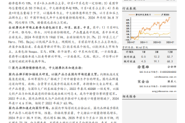 摩托车及其他行业深度分析：中大排摩托车加速出海，前景可期