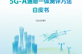 中移智库：2025年5G-A通感一体测评方法白皮书