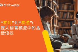 2025年从“看到”到“看透”：掌握大语言模型中的品牌话语权报告