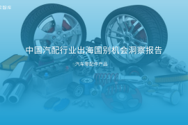 中国汽配行业出海国别机会洞察报告