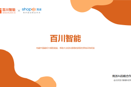 AI智能体与大模型解决方案
