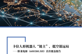 卧龙电驱研究报告：卡位人形机器人“链主”，低空谋远局