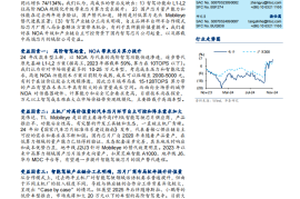 智能驾驶芯片行业分析：NOA起量+国产替代