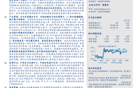 电动两轮车行业深度研究报告：24国标重塑产业格局，龙头竞争优势强化