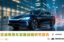 2025年比亚迪乘用车发展战略研究报告 