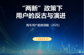 购车用户趋势洞察（2025）：“两新”政策下，用户的反古与演进