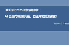 电子行业2025年度策略报告：AI云侧与端侧共振，自主可控砥砺前行