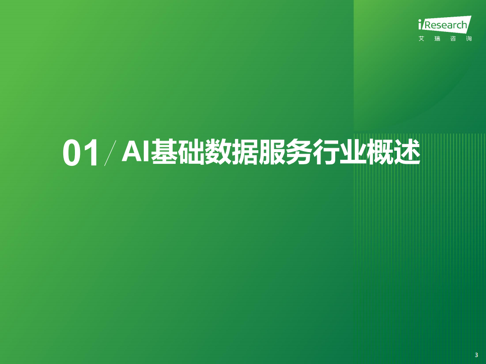 2024年中国AI基础数据服务研究报告,人工智能,第3张