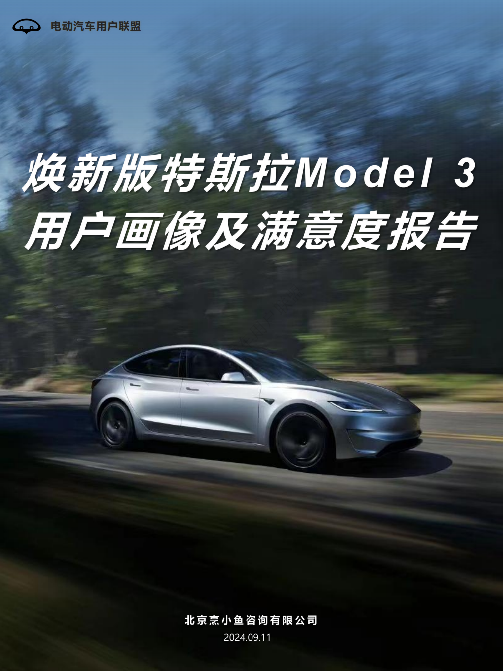 焕新版特斯拉Model 3用户画像及满意度报告,特斯拉,Model,3,用户画像,特斯拉,Model 3,用户画像,第1张