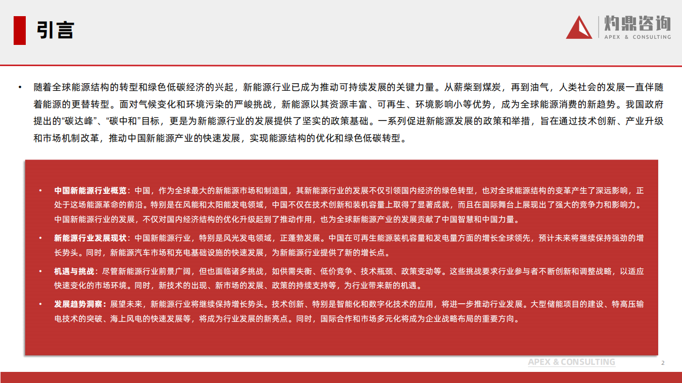 中国新能源行业洞察报告：风光无限，中国新能源行业的崛起与挑战,新能源,新能源,第2张