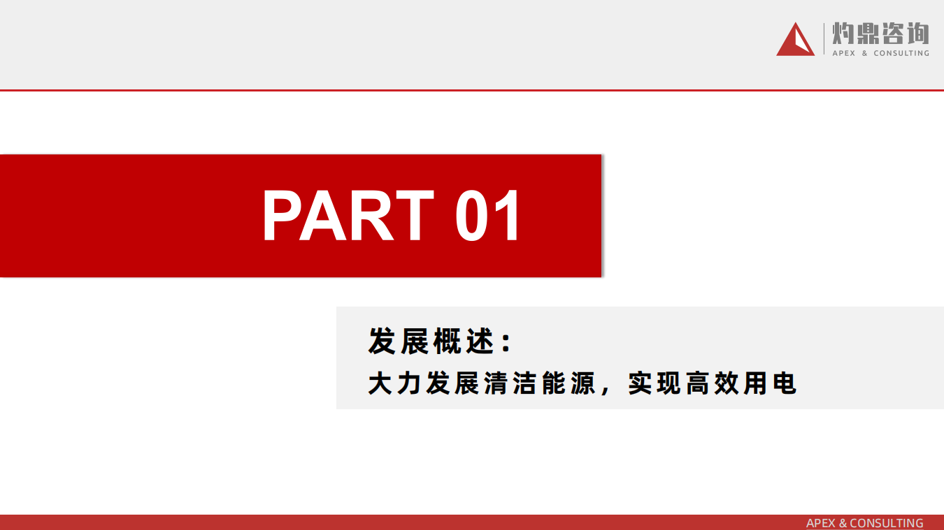 中国新能源行业洞察报告：风光无限，中国新能源行业的崛起与挑战,新能源,新能源,第4张