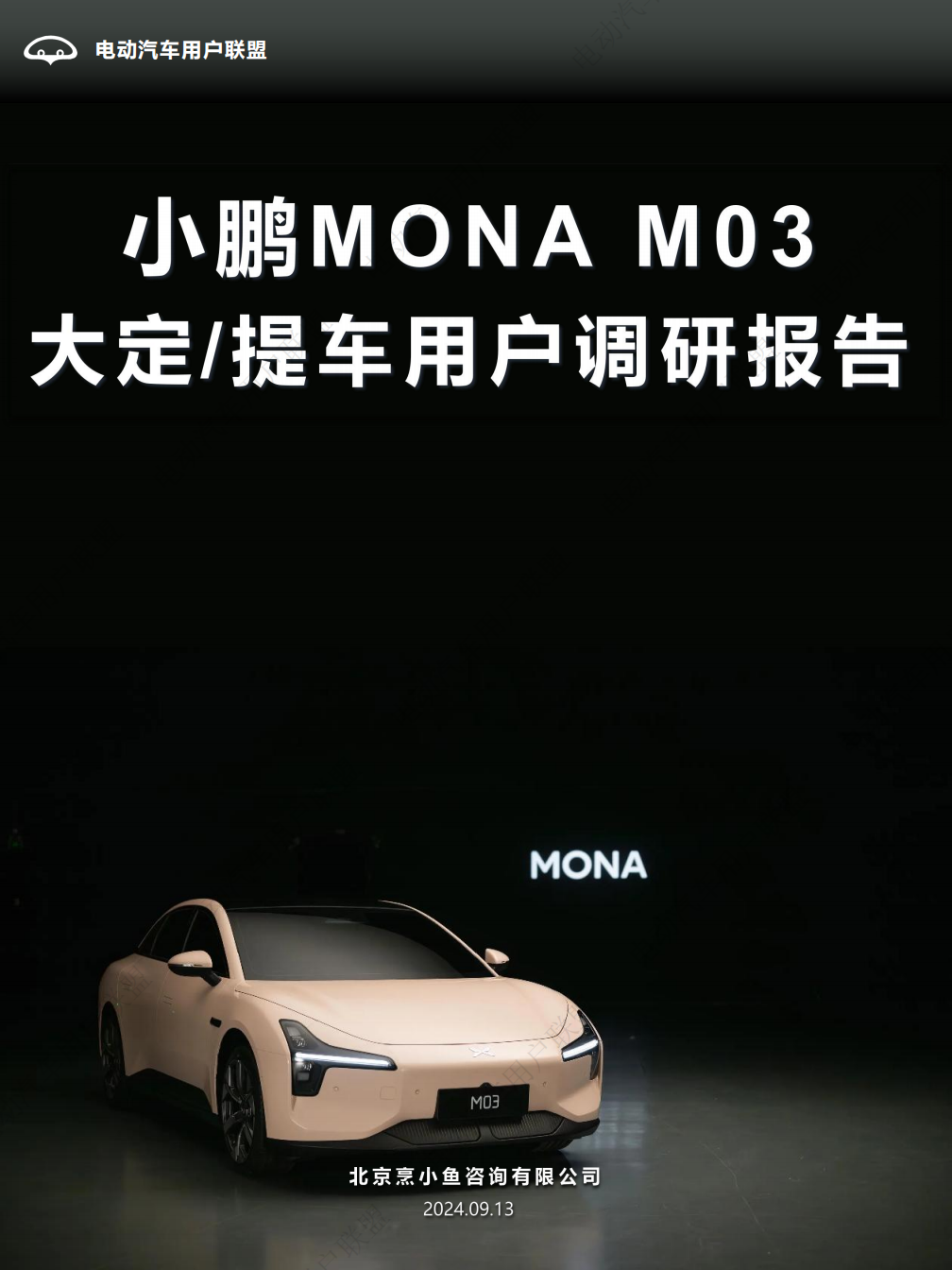 小鹏MONA M03大定提车用户调研报告,小鹏汽车,MONA,M03,新能源汽车,小鹏汽车,MONA M03,新能源汽车,第1张