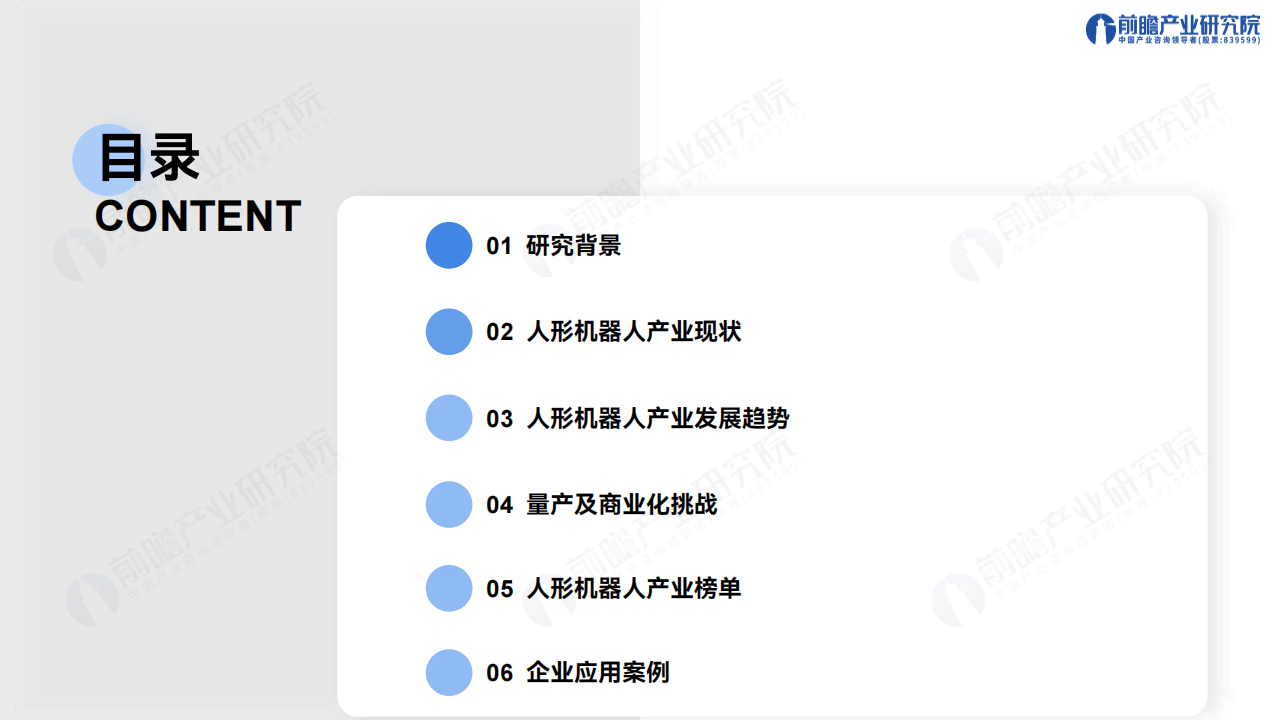 2025年人形机器人行业产业发展蓝皮书：人形机器人量产及商业化关键挑战,人形机器人,人形机器人,第2张