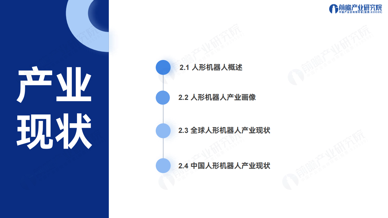 2025年人形机器人行业产业发展蓝皮书：人形机器人量产及商业化关键挑战,人形机器人,人形机器人,第6张