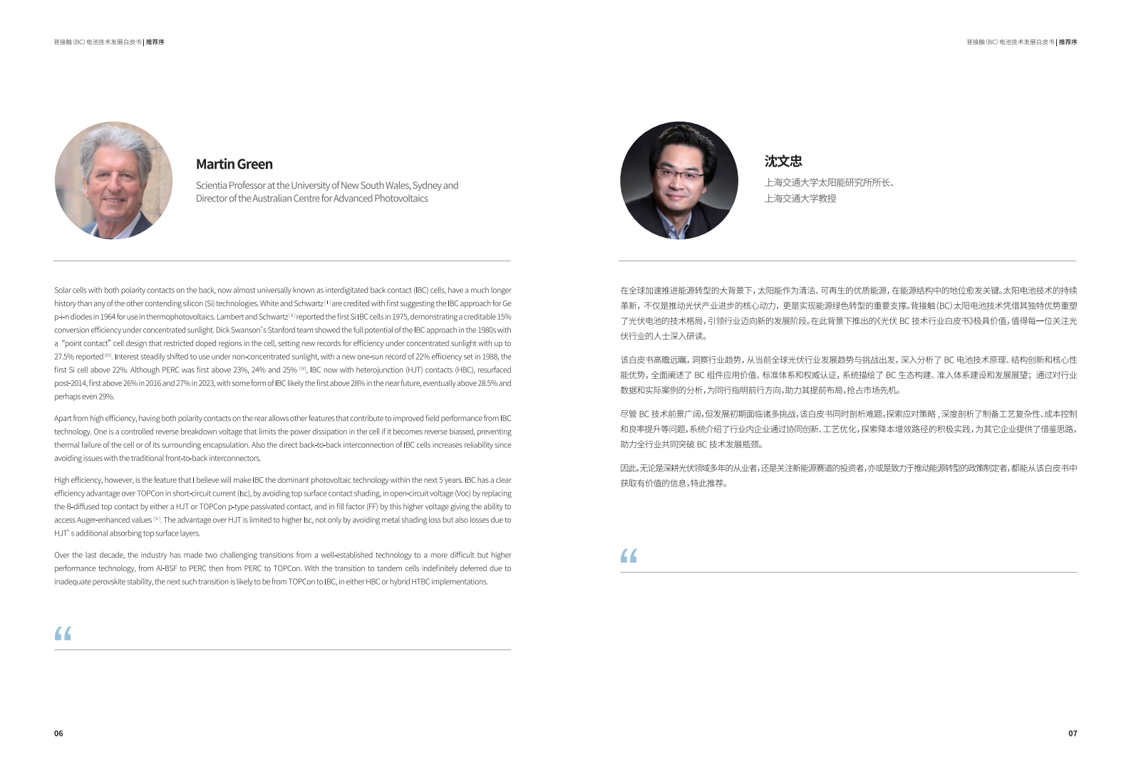 2025年背接触（BC）电池技术发展白皮书,背接触,电池,背接触,电池,第5张