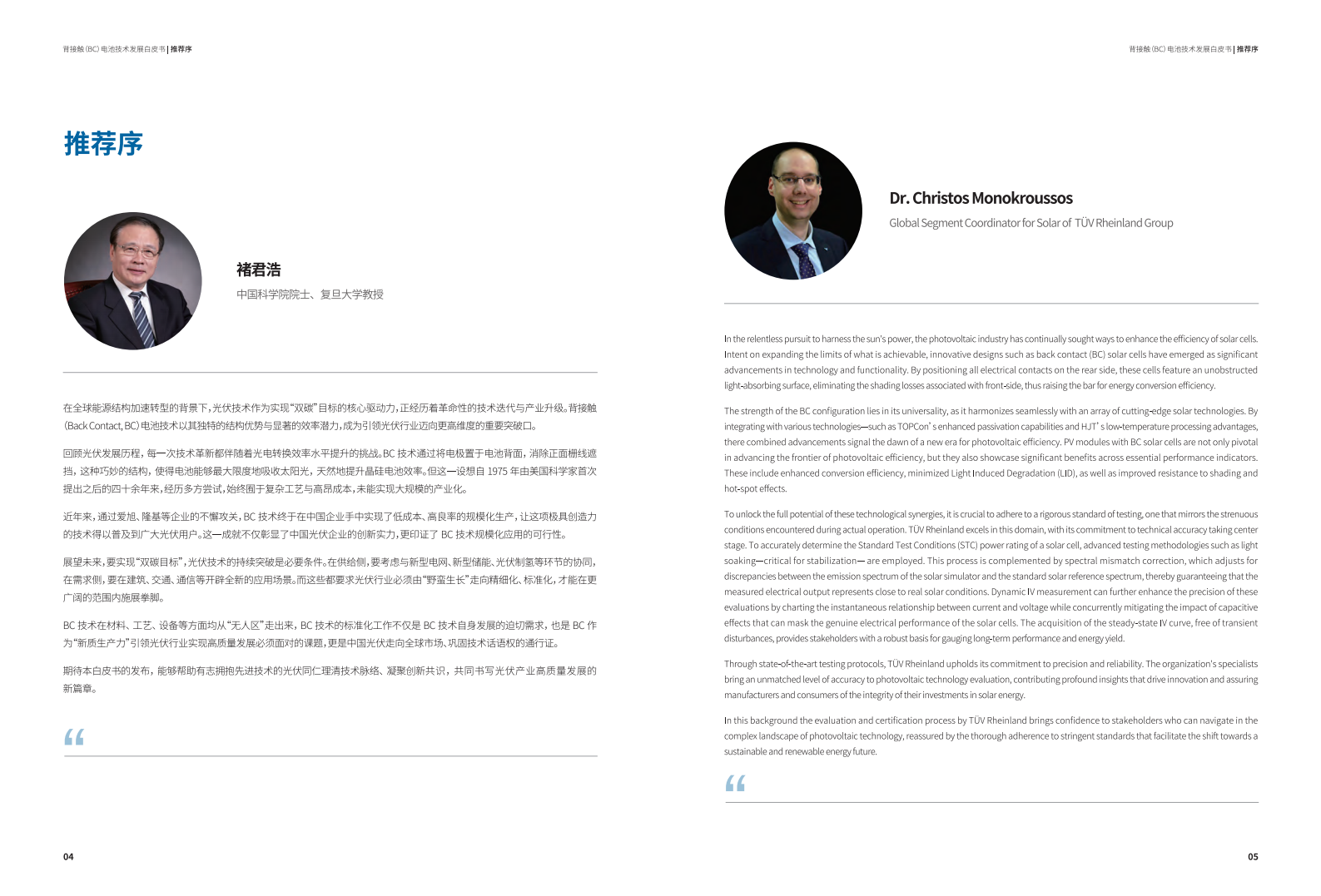 2025年背接触（BC）电池技术发展白皮书,背接触,电池,背接触,电池,第4张