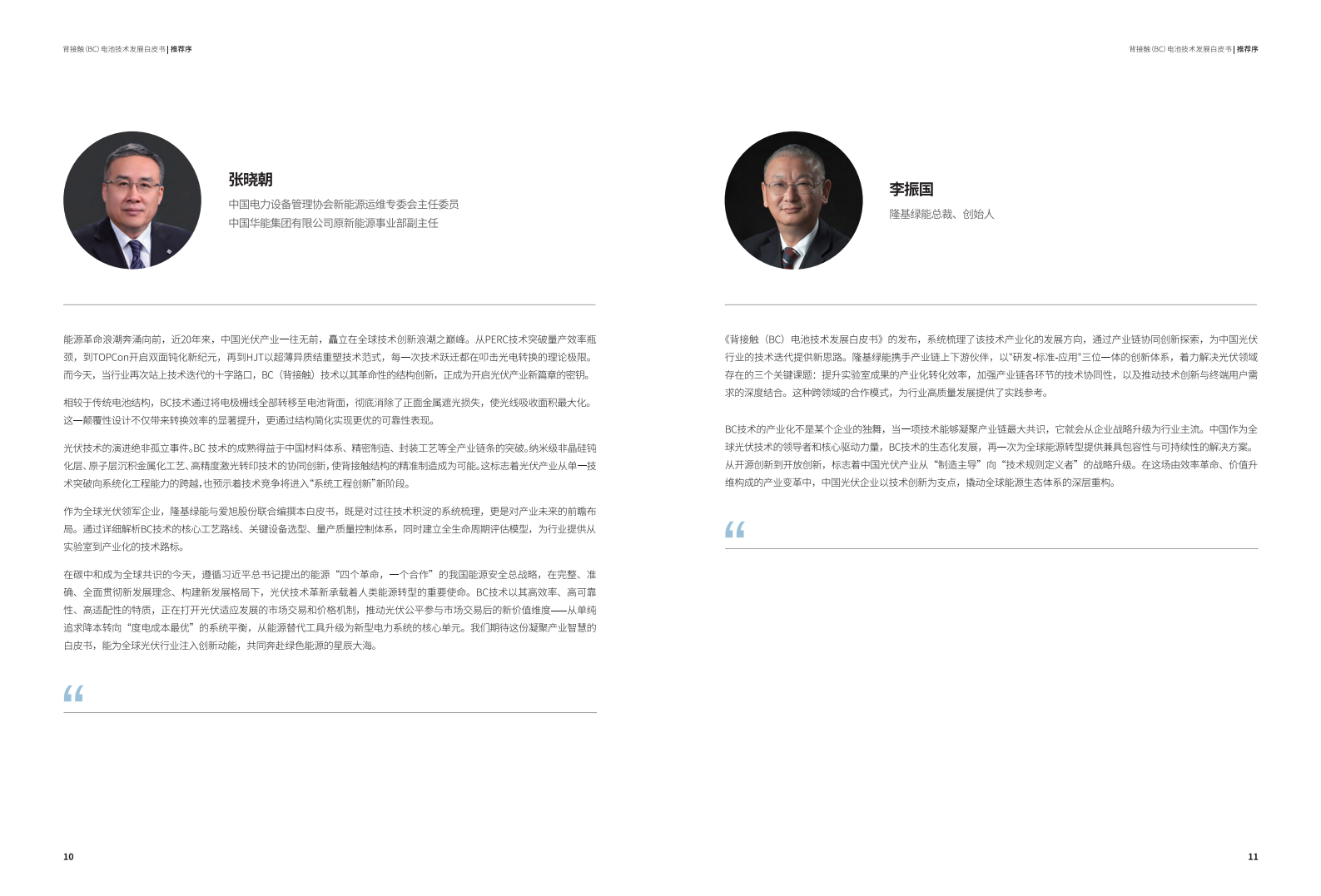 2025年背接触（BC）电池技术发展白皮书,背接触,电池,背接触,电池,第7张