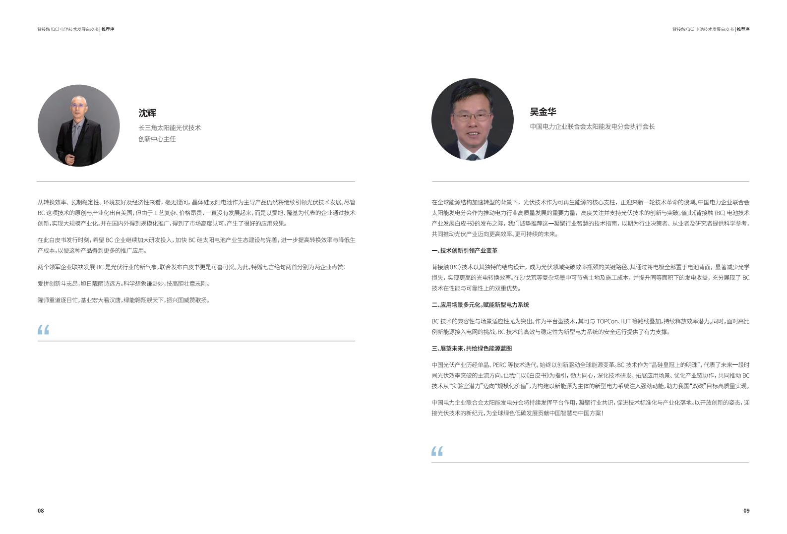2025年背接触（BC）电池技术发展白皮书,背接触,电池,背接触,电池,第6张