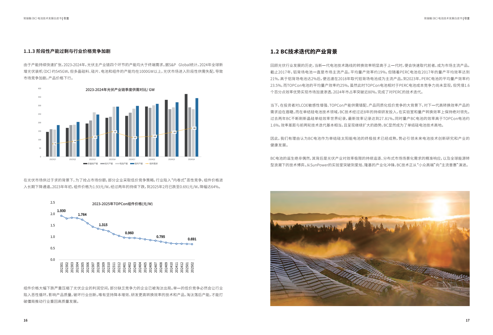 2025年背接触（BC）电池技术发展白皮书,背接触,电池,背接触,电池,第10张