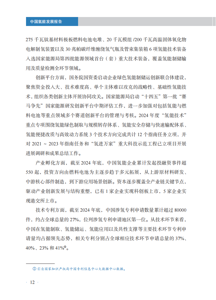 国家能源局：中国氢能发展报告2025,氢能,氢能,第16张
