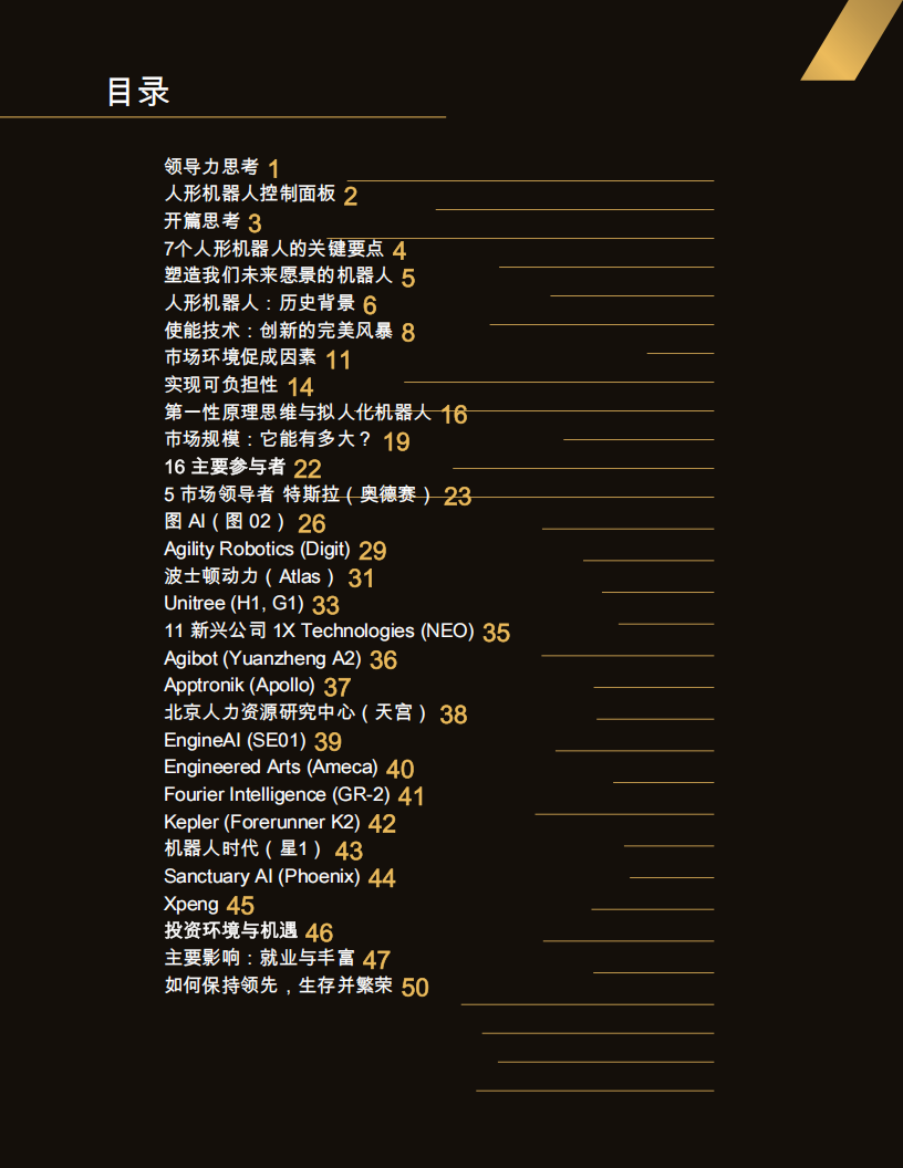 2025-2035年人形机器人发展趋势报告,人形机器人,人形机器人,第2张