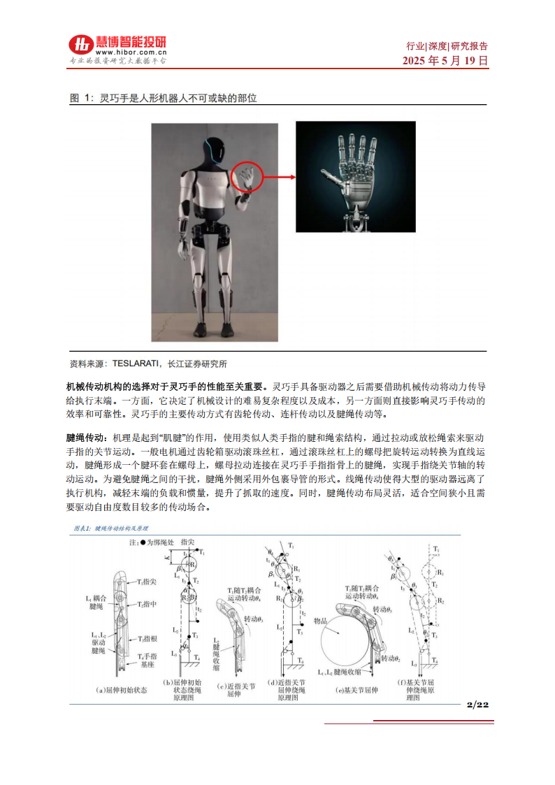机器人腱绳行业深度分析：市场空间、发展趋势、产业链及相关公司深度梳理,机器人,机器人,第2张