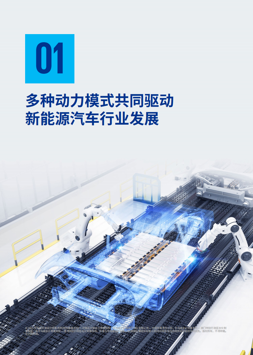 2025年并驾齐驱：多元化动力争夺汽车市场报告,汽车,汽车,第7张