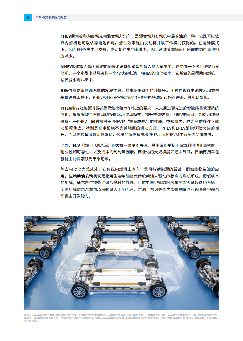 2025年并驾齐驱：多元化动力争夺汽车市场报告,汽车,汽车,第10张